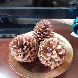 Comes with 3 very large fir cones but doesn't have to.
Good cond.
fy3 layton