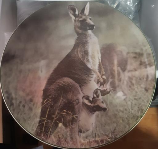 Buy & Sell Merseyside Saint Helens - Photos for royal doulton mother kangaroo with joey plate