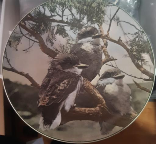 Buy & Sell Merseyside Saint Helens - Photos for royal doulton young kookaburras plate