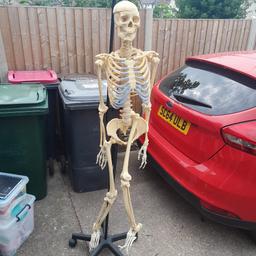 life size adult resin skeleton

leg has come off but easily fixable with a small bolt

collection only please from S26 Harthill