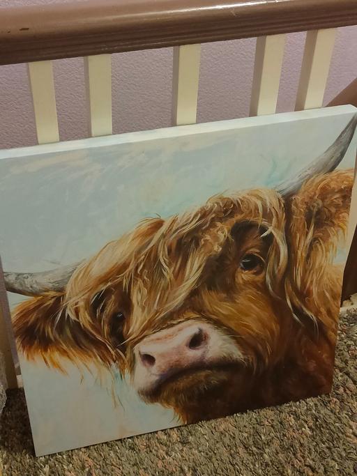 Buy & Sell Highfield Bradford - Photos for Highland cow framed art canvas wall art