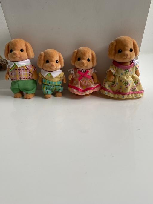 Buy & Sell County Durham Durham - DH99 - Photos for Sylvanian families dogs