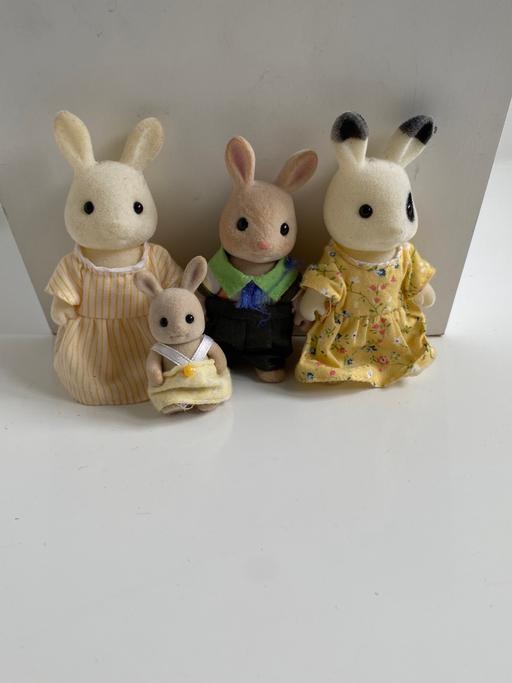 Buy & Sell County Durham Gilesgate - County Durham - Photos for Sylvanian families rabbits