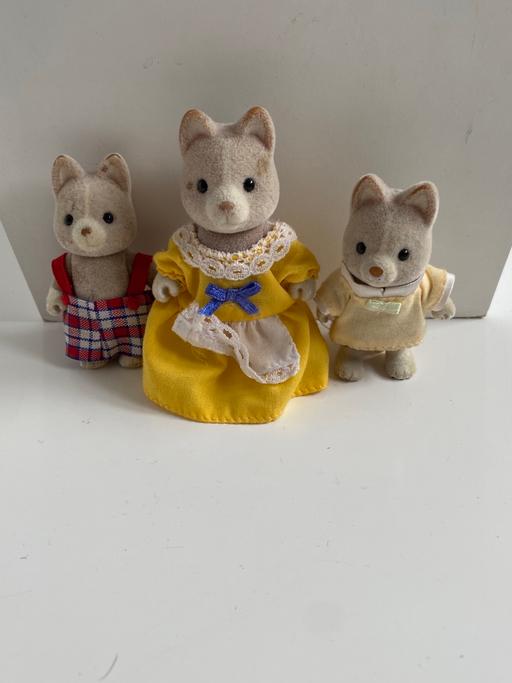 Buy & Sell County Durham Gilesgate - County Durham - Photos for Sylvanian families