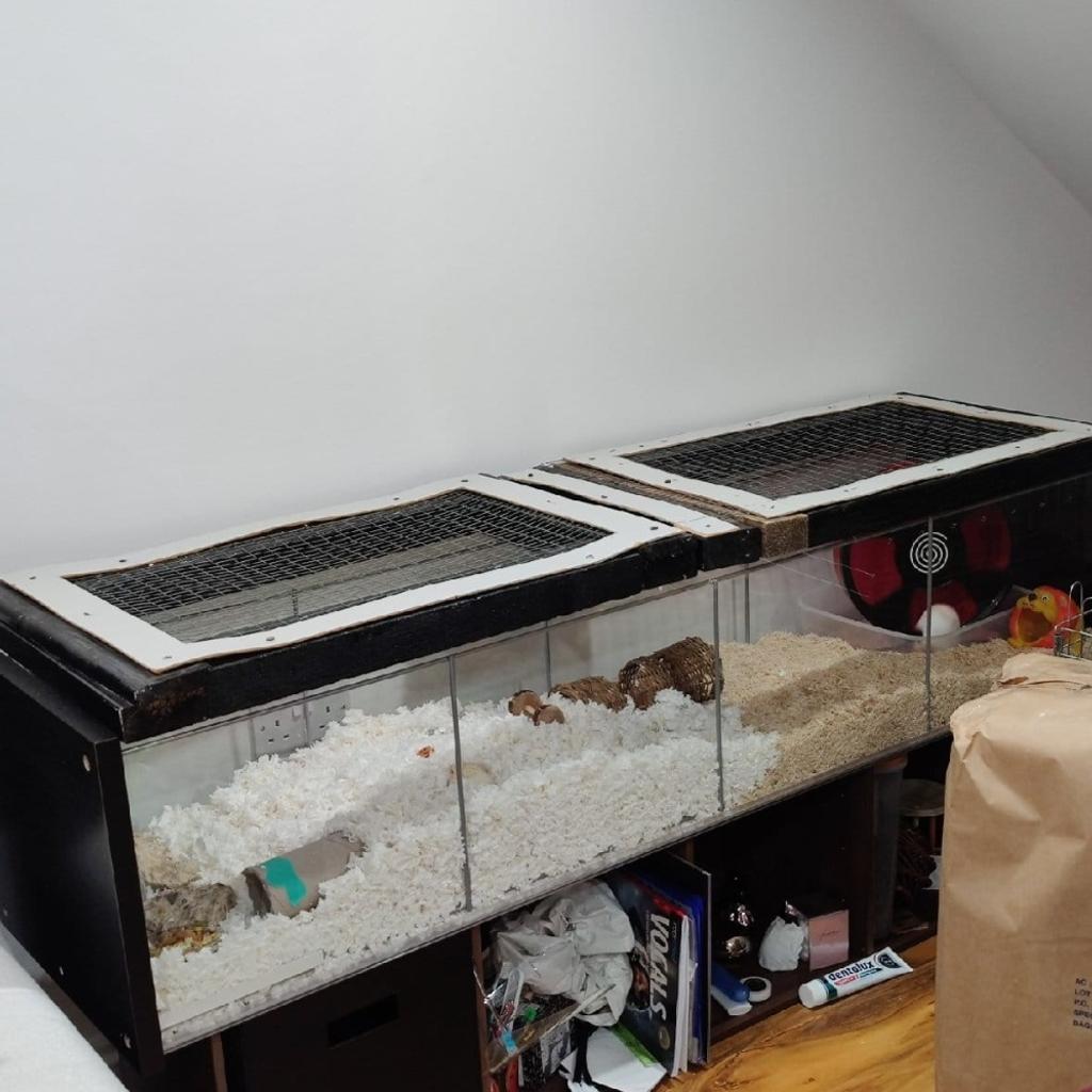 Used Hamster Cage Furniture