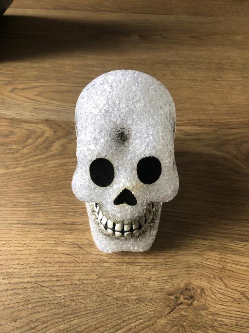 Buy & Sell Derbyshire Derby - Photos for Light up skull