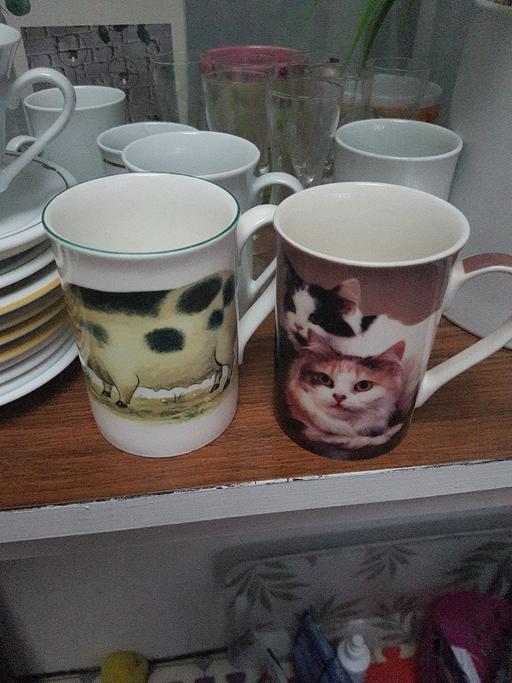 Buy & Sell North London Harringay - North London - Photos for cups