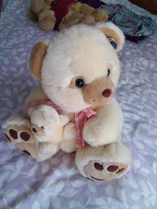 Buy & Sell Derbyshire North East Derbyshire - Photos for Teddy bears