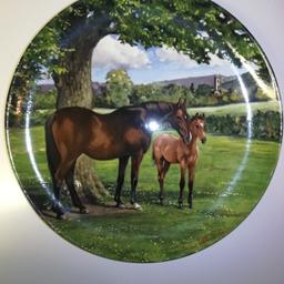 Spode "Noble Horse" limited edition plate. Plate number 8159. "The English Thoroughbred". 8.5" circumference. Excellent condition in original box complete with Certificate of Authenticity. Local pick up preferred from Old Tupton area near Chesterfield.
