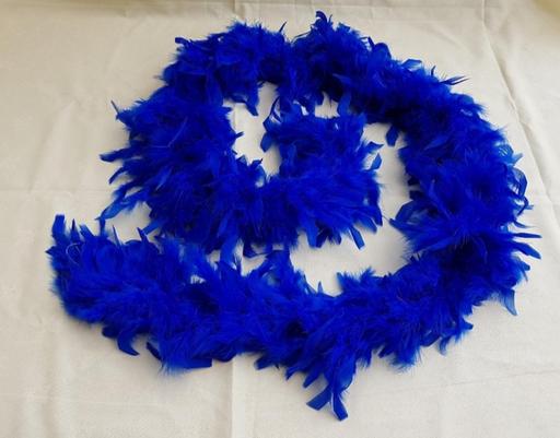 Buy & Sell Essex Thurrock - Essex - Photos for feather bowers scarf