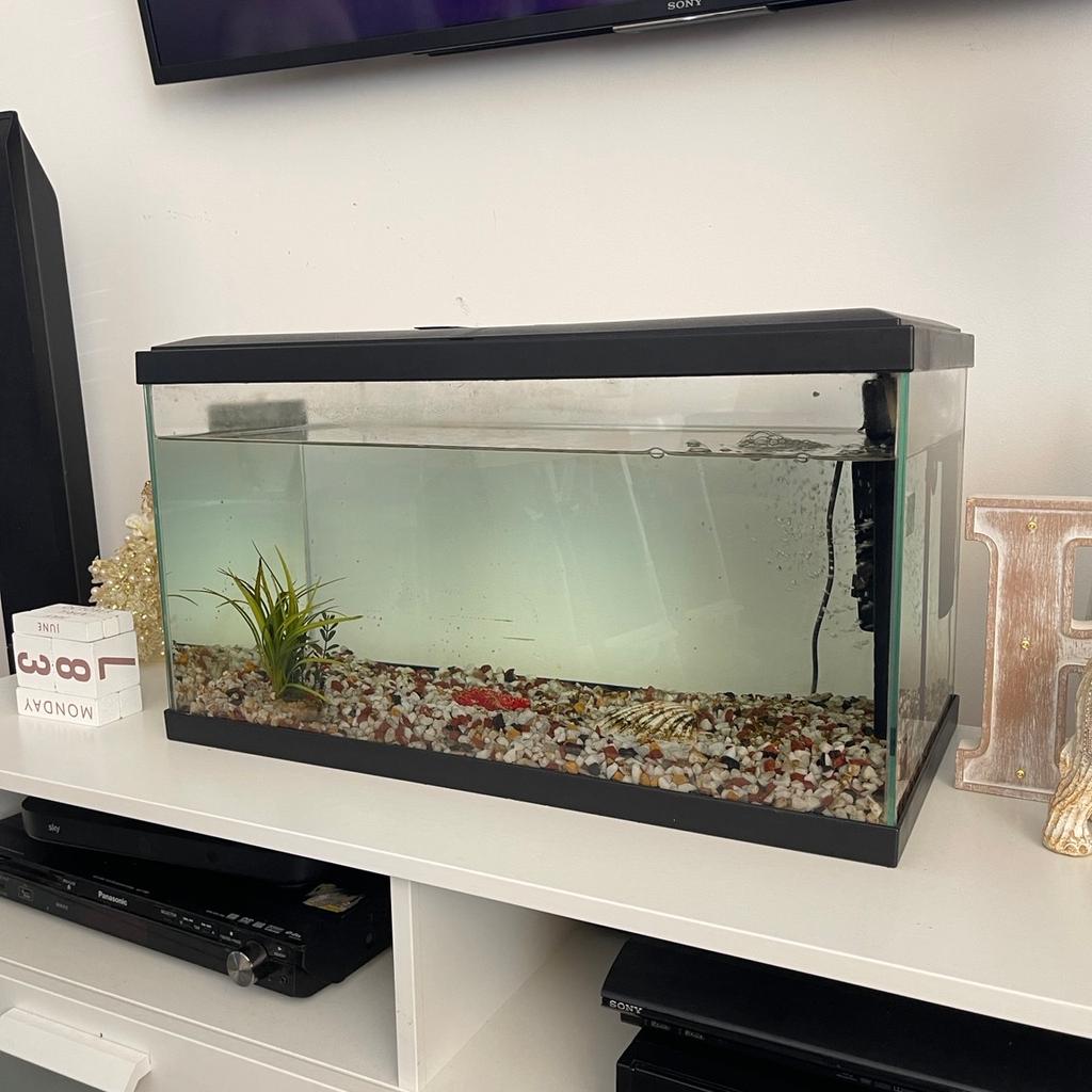 Fish Tank in BR7 Bromley for £30.00 for sale | Shpock