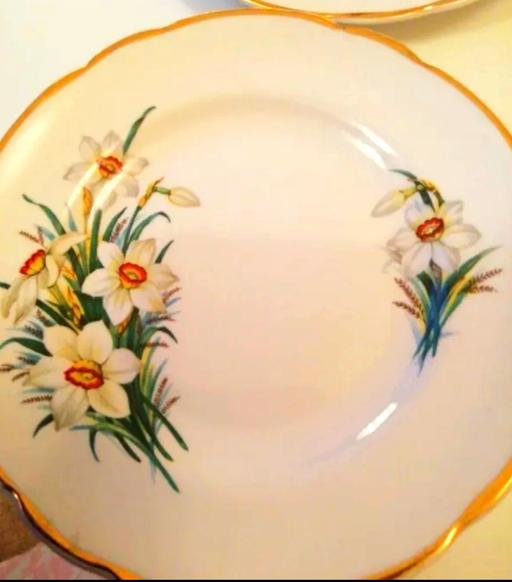 Buy & Sell Nottinghamshire Ashfield - Photos for Vintage china plates