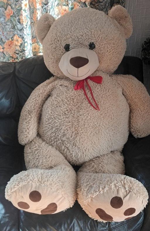 Buy & Sell Kent Maidstone - Photos for Billy The Bear, 5ft Tall, As New