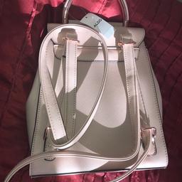 Aldo backpack blush pink 
Brand new with tags 
£50