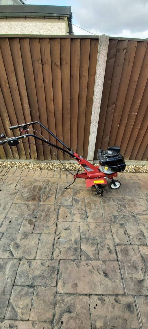 Buy & Sell Flintshire - Wales Penyffordd - Flintshire - Photos for MOUNTFIELD TILLER/CULTIVATOR