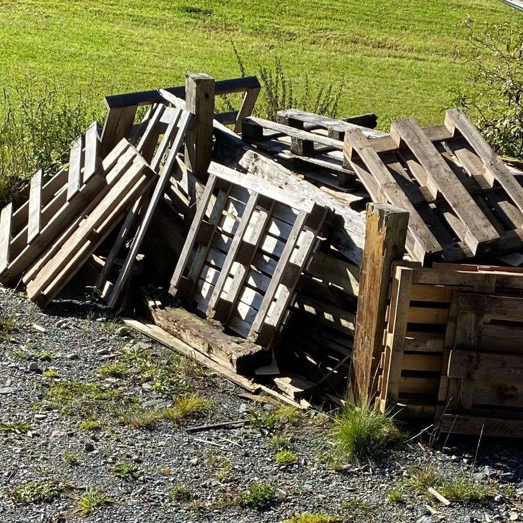 Brennholz in 6380 Marktgemeinde St. Johann in Tirol für gratis zum