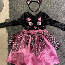 Tu cat Halloween outfit 
Age 2-3yrs 
Collection only TN16, BR1 or SE20