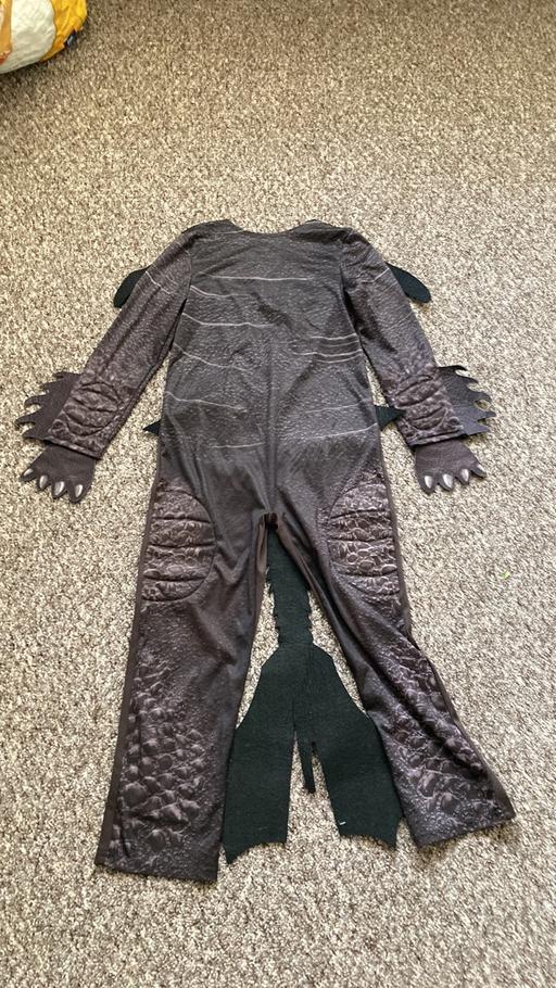 Buy & Sell West Midlands Sandwell - Photos for Dress up - how to train your dragon