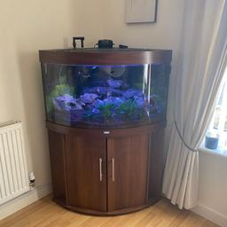 190 litres corner fish tank...in good condition collection only... only selling because of work commitments any questions just ask 🙄