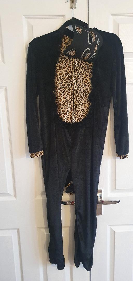 Buy & Sell East London Havering - Photos for Cat Halloween Outfit