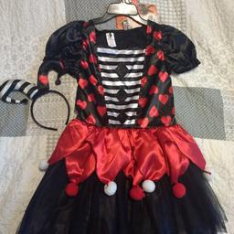 harlequin costume with headband worn once collect from OL8 area