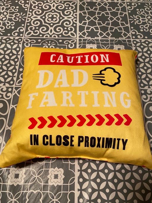 Buy & Sell County Durham Low Willington Industrial Estate - County Durham - Photos for Dad Farting Cushion