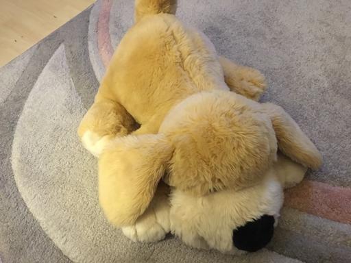 Buy & Sell Essex Maldon - Photos for Large soft plush toy dog.