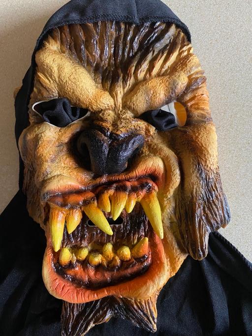 Buy & Sell West Midlands Walsall - Photos for Halloween masks - selection now only £2 each