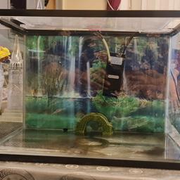 The tank is great, selling as I am not using right now. 
The plastic lid has a few marks see picture, but still great. 
Accessories include: 
□ Filter 
□ Black aquarium sand 
□ Aquarium gravel 
□ 3 decorative plants 
□ Small bridge ornament
□ Decorative Stones 
□ All the fish supplies, food, treatment, filter set up water 

I'll upload another picture off all the stuff after I've cleaned it all