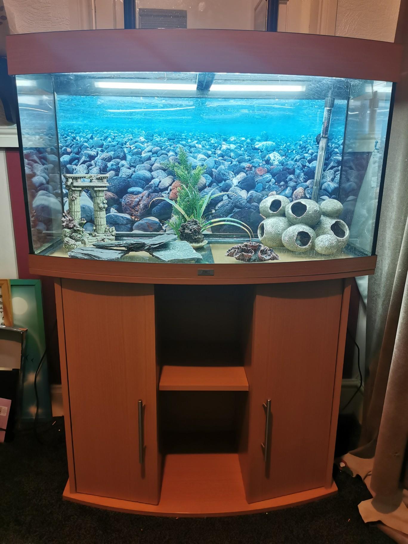 fish tank and filter and extras in WV10 Wolverhampton for £140.00 for