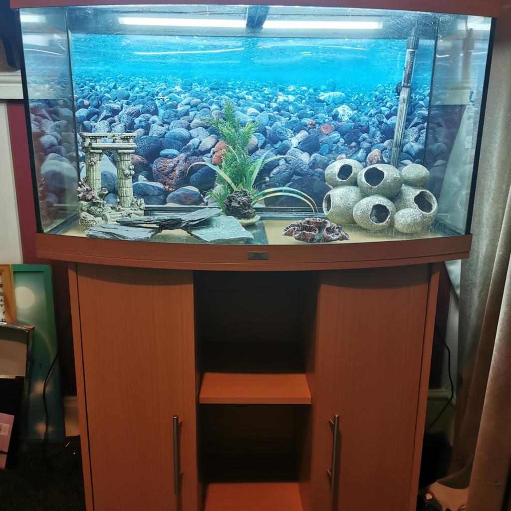 fish tank and filter and extras in WV10 Wolverhampton for £140.00 for