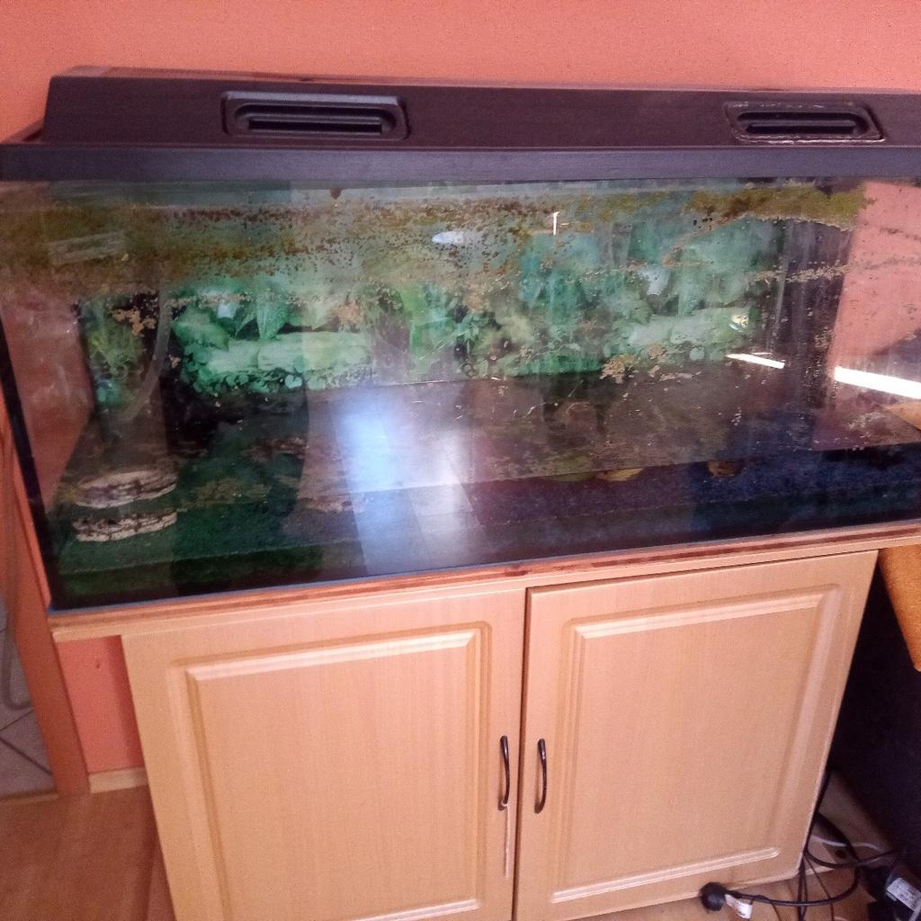 Aquarium zu Verschenken in 4362 Bad Kreuzen für 1,00 € zum Verkauf