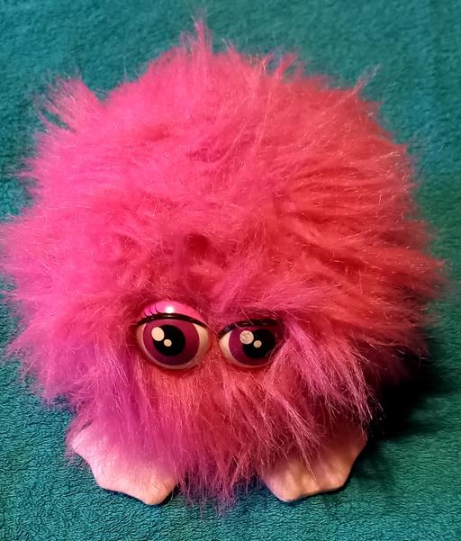 Buy & Sell West Midlands Birmingham - Photos for fluffings