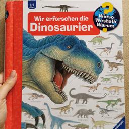 Stegosaurus, Triceratops, Tyrannosaurus rex & Co. sind die Helden vieler Kinderzimmer. Dinosaurier faszinieren – nicht zuletzt durch ihr rätselhaftes Aussterben. Basierend auf aktuellen Erkenntnissen und mit beeindruckenden Klappen beantwortet dieses Buch die brennendsten Kinderfragen rund um die beliebten Urzeitgiganten und deren Erforschung: Welcher Dinosaurier war der Gefährlichste? Wie jagten die Dinos? Und wie kommt der Saurier ins Museum?