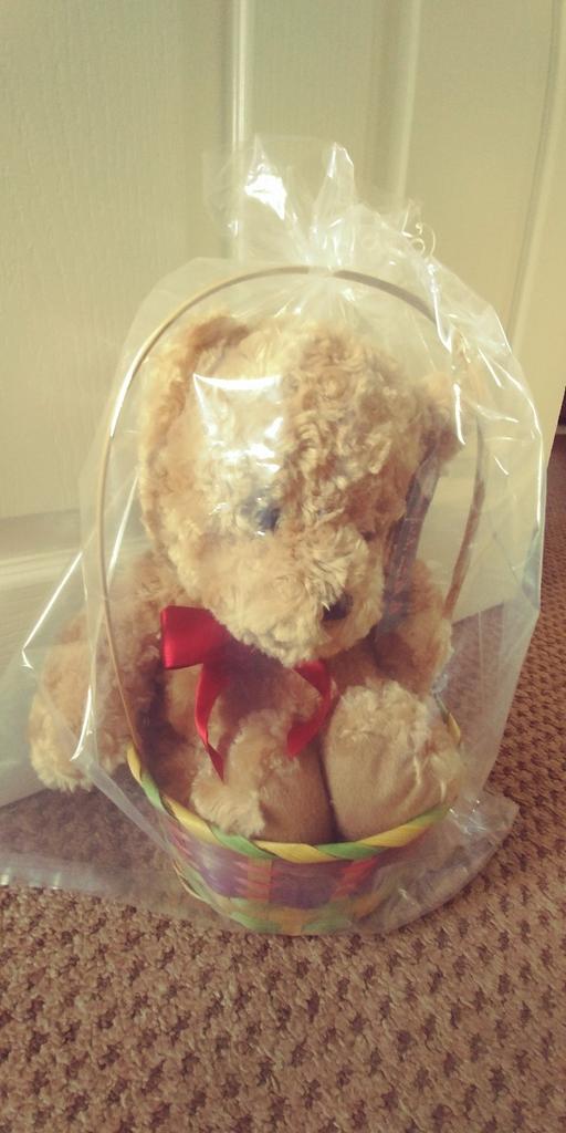 Buy & Sell Worcestershire Bromsgrove - Photos for Brand New Teddy In Basket