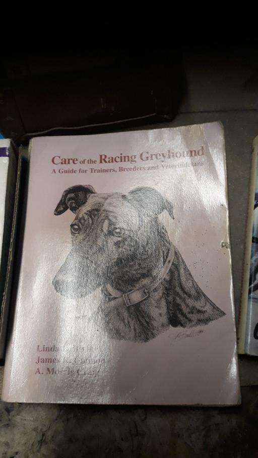 Buy & Sell Derbyshire Chesterfield - Photos for Greyhound Books