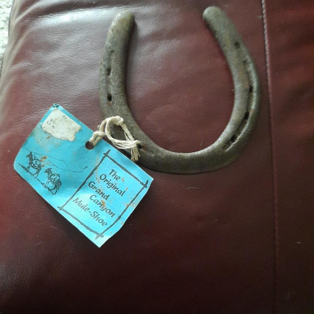 metal horse/mule shoe from Grand Canyon in WA10 Helens for £2.50 for