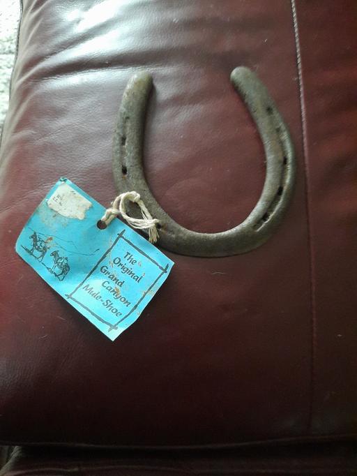 Buy & Sell Dentons Green Saint Helens - Photos for metal horse/mule shoe from Grand Canyon