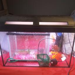 I have a 20 lire fish tank with filter and plants and net it has a light in aswell to see the fish at night I also have a 10 litre fish tank it has no lid but it can be used as a spare tank for when the big one is getting cleaned out selling both for £20 collection only please