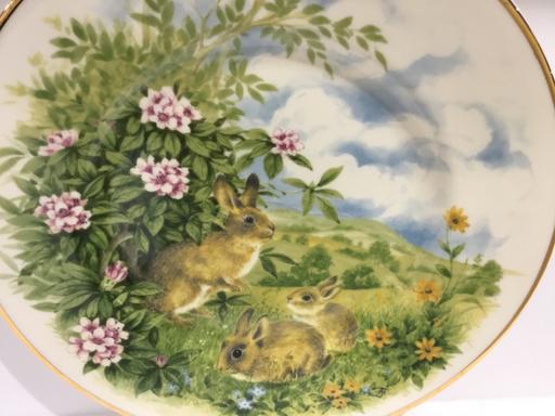 Buy & Sell Suffolk East Suffolk - Photos for Rabbits in Spring Bone China Plate