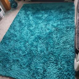 teal rug 7x5 foot really nice rug pick up or local delivery only thanks
