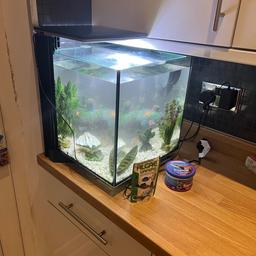 Comes with fairly new filter, all working currently has 2xtetra in these can be removed if you just want the tank. The tank is mature so new fish can be added straight away. Accessories are abit old and may need replacing soon but good little starter tank for anyone looking to get fish it take between 10-15 fish depending on size. Most we had at one point is 12. Collection Only