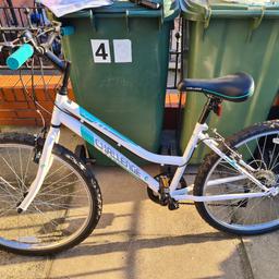 brand new 26 inch bike fantastic condition with helmet information booklet and pump