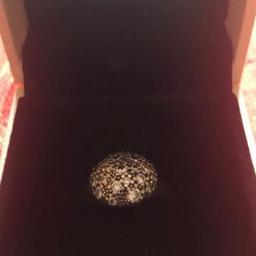 Pandora all stars ring 

Comes in original box and bag 

Size 54cm 
Colour silver 

Collection only because postal strike