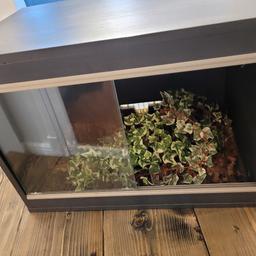 selling our Vavarium L x W x H = 57.5cm x 37.5cm x 42cm. Our snake grew too big for it but it will be good for any reptile. Good condition and comes with clean substrate and plastic foilage