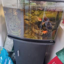 4 gold fish with tank and stand my daughter dosent bother with them