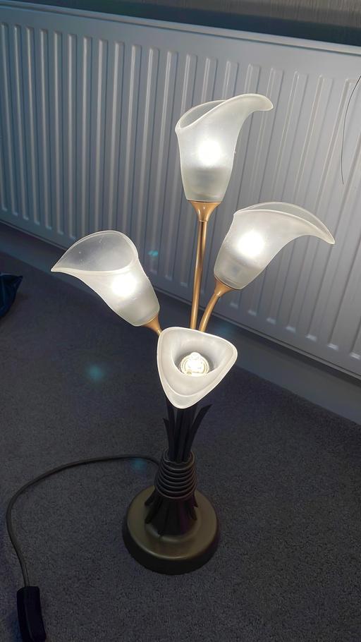 Buy & Sell West Midlands Dudley - Photos for 2 beautiful table lamps