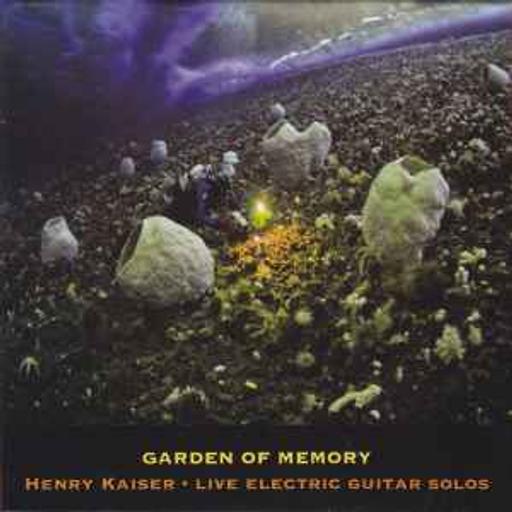 Buy & Sell West Yorkshire Leeds - Photos for Henry Kaiser Garden Of Memory