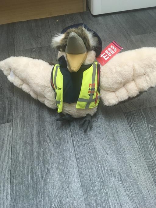 Buy & Sell Greater Manchester Manchester - Photos for Soft toy