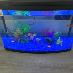 Fish tank including filter and heat temp. Ideal for cold and tropical fish. Not had this for long. Reasonable offers only